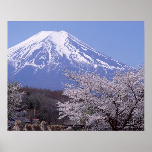 Cherry Blossom en Mt. Fuji Poster (Voorkant)