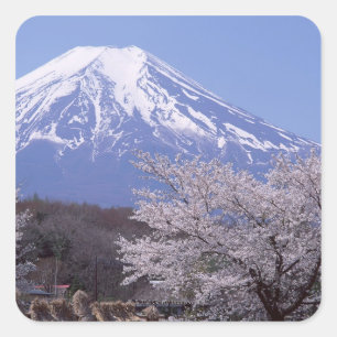 Cherry Blossom en Mt. Fuji Vierkante Sticker