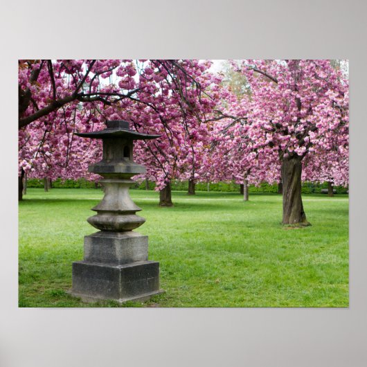 Cherry Blossom en Pagoda Poster Paper (Matte) (Voorkant)