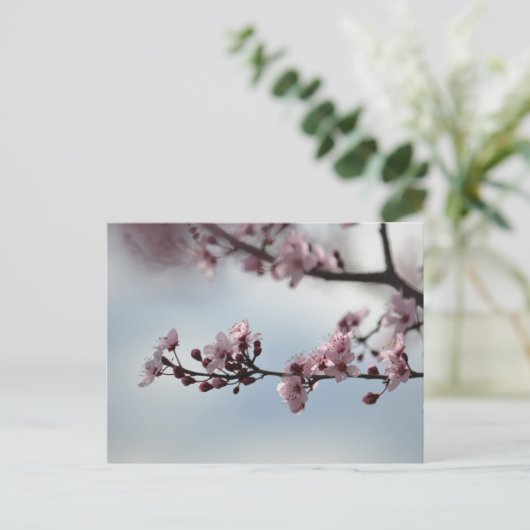Cherry Blossom en Sky Briefkaart (Staand voorkant)