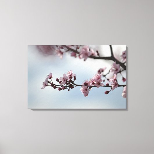 Cherry Blossom en Sky Canvas Afdruk (Voorkant)
