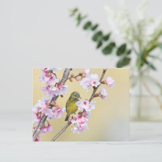 Cherry Blossom en Warbler Briefkaart (Staand voorkant)