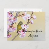 Cherry Blossom en Warbler, Huntington Beach CA Briefkaart (Voorkant / Achterkant)