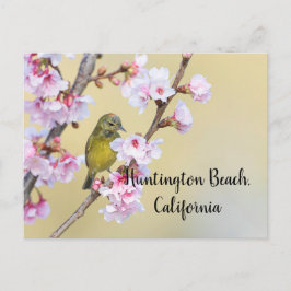 Cherry Blossom en Warbler, Huntington Beach CA Briefkaart