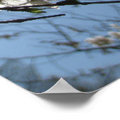 Cherry Blossom Equinox, bedrukt Poster (Hoek)