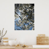 Cherry Blossom Equinox, bedrukt Poster (Keuken)