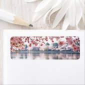 Cherry Blossom Etiket (Insitu)