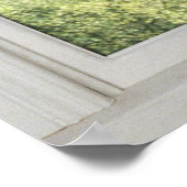 Cherry Blossom - Fake White Window (1 0f 3) Poster (Hoek)