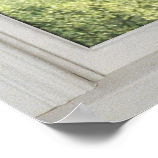 Cherry Blossom - Fake White Window (1 0f 3) Poster (Hoek)