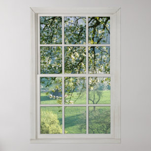 Cherry Blossom - Fake White Window (1 0f 3) Poster