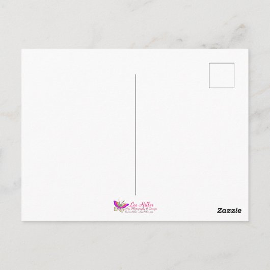 Cherry Blossom Fantasy kolibrie Briefkaart (Achterkant)