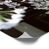 Cherry Blossom Festival: Hirano Shrine, Kyoto Poster (Hoek)