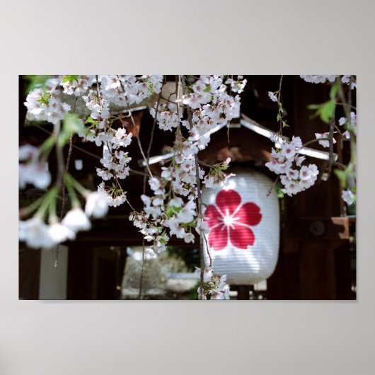 Cherry Blossom Festival: Hirano Shrine, Kyoto Poster (Voorkant)