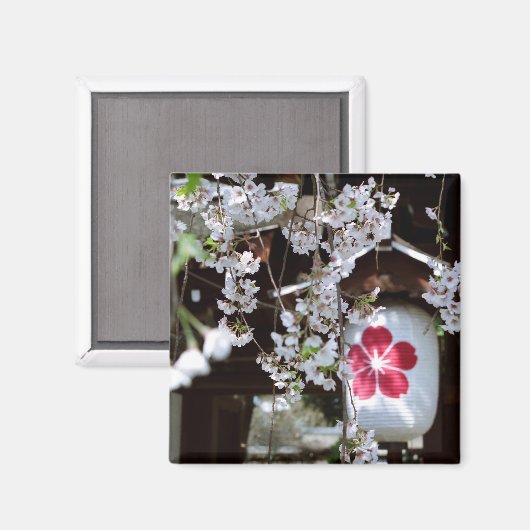 Cherry Blossom Festival in Kyoto Magneet (Voorkant / Achterkant)