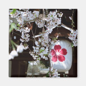 Cherry Blossom Festival in Kyoto Magneet (Voorkant)
