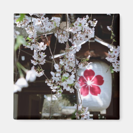 Cherry Blossom Festival in Kyoto Magneet (Voorkant)