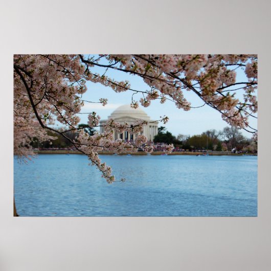 Cherry Blossom Festival & Jefferson Memorial Poster (Voorkant)