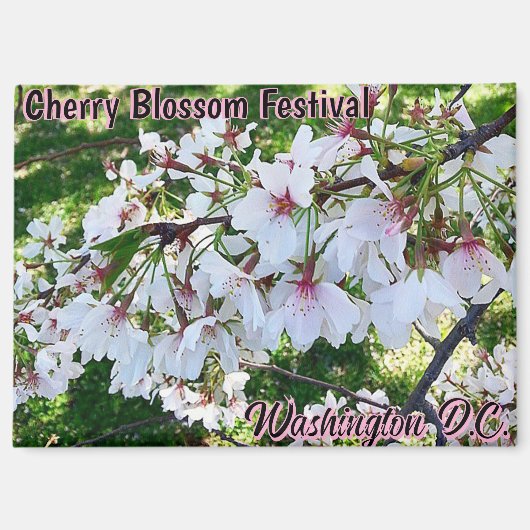Cherry Blossom Festival Washington D.C. Magnet (Voorkant)