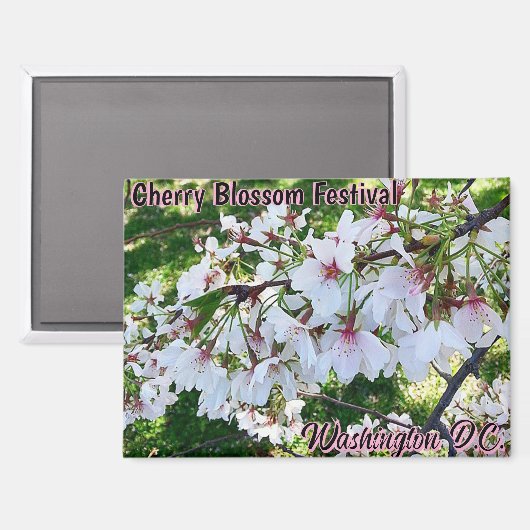 Cherry Blossom Festival Washington D.C. Magnet (Voorkant / Achterkant)