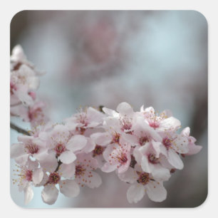 Cherry Blossom Floral Vierkante Sticker