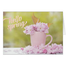 Cherry Blossom Flower Floral Stilllife Spring Text