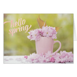 Cherry Blossom Flower Floral Stilllife Spring Text