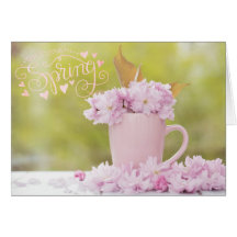 Cherry Blossom Flower Floral Stilllife Spring Text
