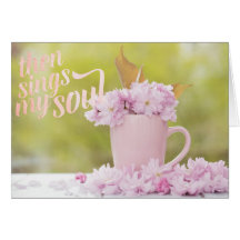 Cherry Blossom Flower Floral Stilllife Spring Text