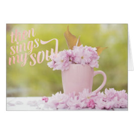 Cherry Blossom Flower Floral Stilllife Spring Text