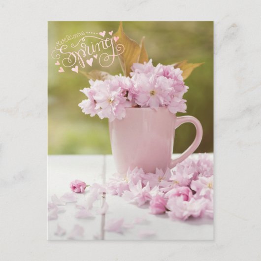 Cherry Blossom Flower Floral Stilllife Spring Text Briefkaart (Voorkant)
