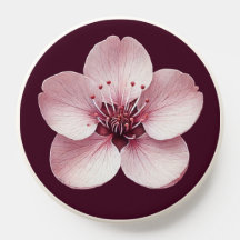 Cherry Blossom Flower