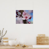 Cherry Blossom Flower Poster (Keuken)