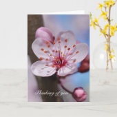 Cherry Blossom Flower Thinking of you Kaart (Gele Bloem)