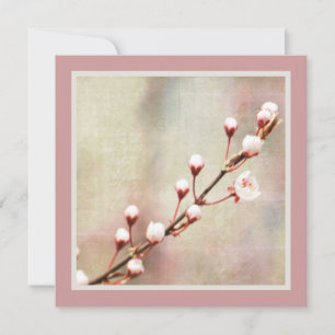 Cherry Blossom Flowers Kaart