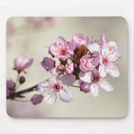 Cherry Blossom Flowers Muismat (Voorkant)