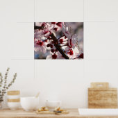Cherry Blossom Flowers Poster (Keuken)