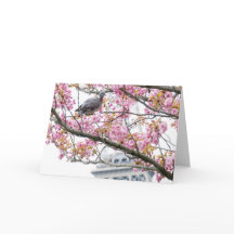 Cherry Blossom Folded Blank Wenskaart