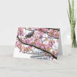 Cherry Blossom Folded Blank Wenskaart Kaart
