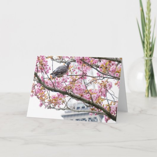 Cherry Blossom Folded Blank Wenskaart Kaart (Voorkant)