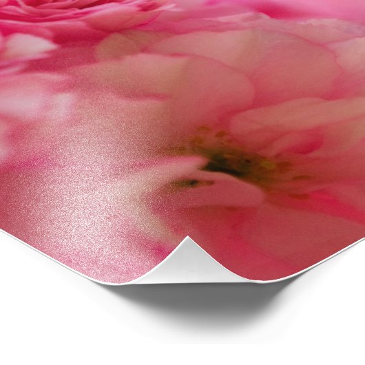 Cherry Blossom Foto Afdruk (Hoek)