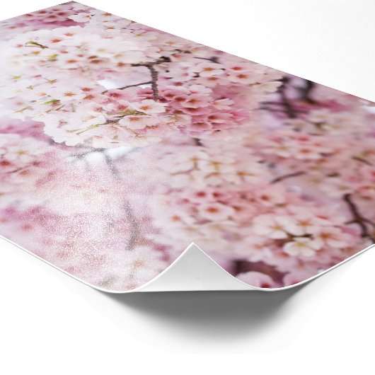 Cherry Blossom Foto Afdruk (Hoek)