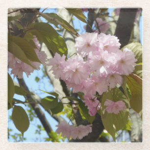 Cherry blossom foto glazen onderzetter