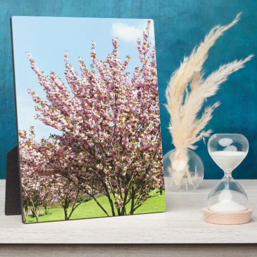 Cherry Blossom Fotoplaat (Zijkant)