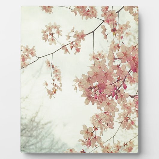 Cherry Blossom Fotoplaat (Voorkant)