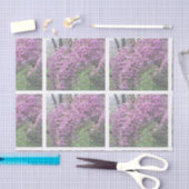 Cherry Blossom French Script Decoupage Tissuepapier (Craft)