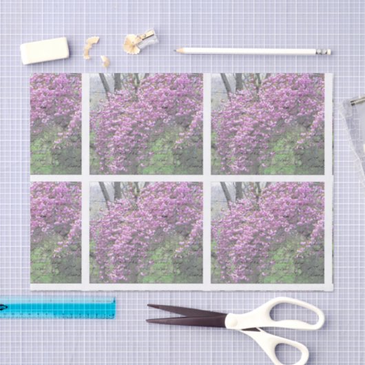 Cherry Blossom French Script Decoupage Tissuepapier (Craft)