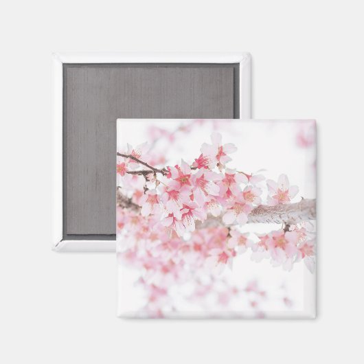 CHERRY BLOSSOM FRIDGE MAGNET (Voorkant / Achterkant)