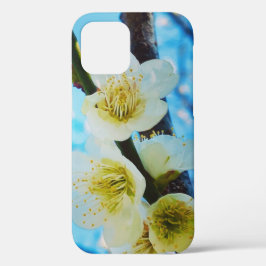 Cherry Blossom Gift Box Hoesje-Mate iPhone Case