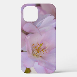 Cherry Blossom Gift Box Hoesje-Mate iPhone Case