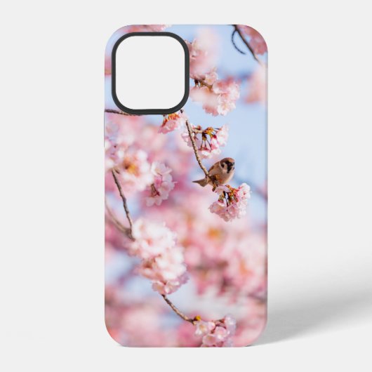 Cherry Blossom Gift Box iPhone Hoesje (Achterkant)